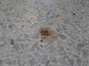 Terrazzo restoration