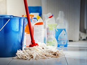 Tile cleaning article